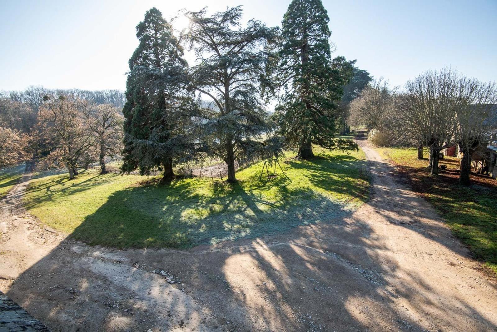 16Th Century Hunting Lodge - Chateau De Nitray Athee-sur-Cher Bagian luar foto
